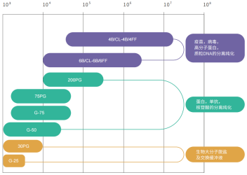 6a42333c5b63e.png c8b0536d-ebc4-4415-9a5c-d5834d174098.png