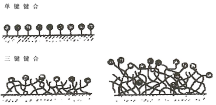 0331b25b-6788-4db3-a925-c0d6bba78413.png